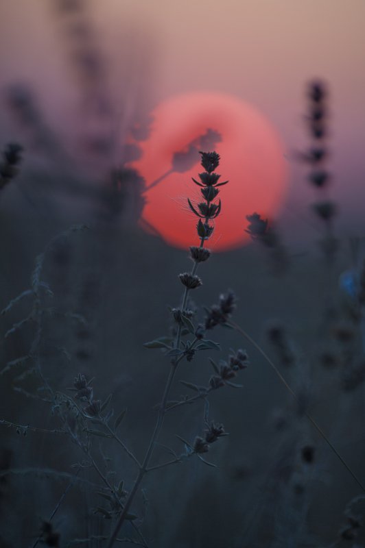 #природакрыма #степнойкрым Серия \