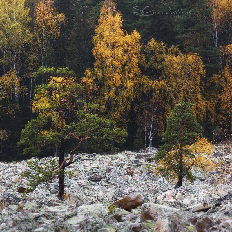 таганай, урал, южный урал, каменная река Уральская КАМЕННАЯ рекаphoto preview