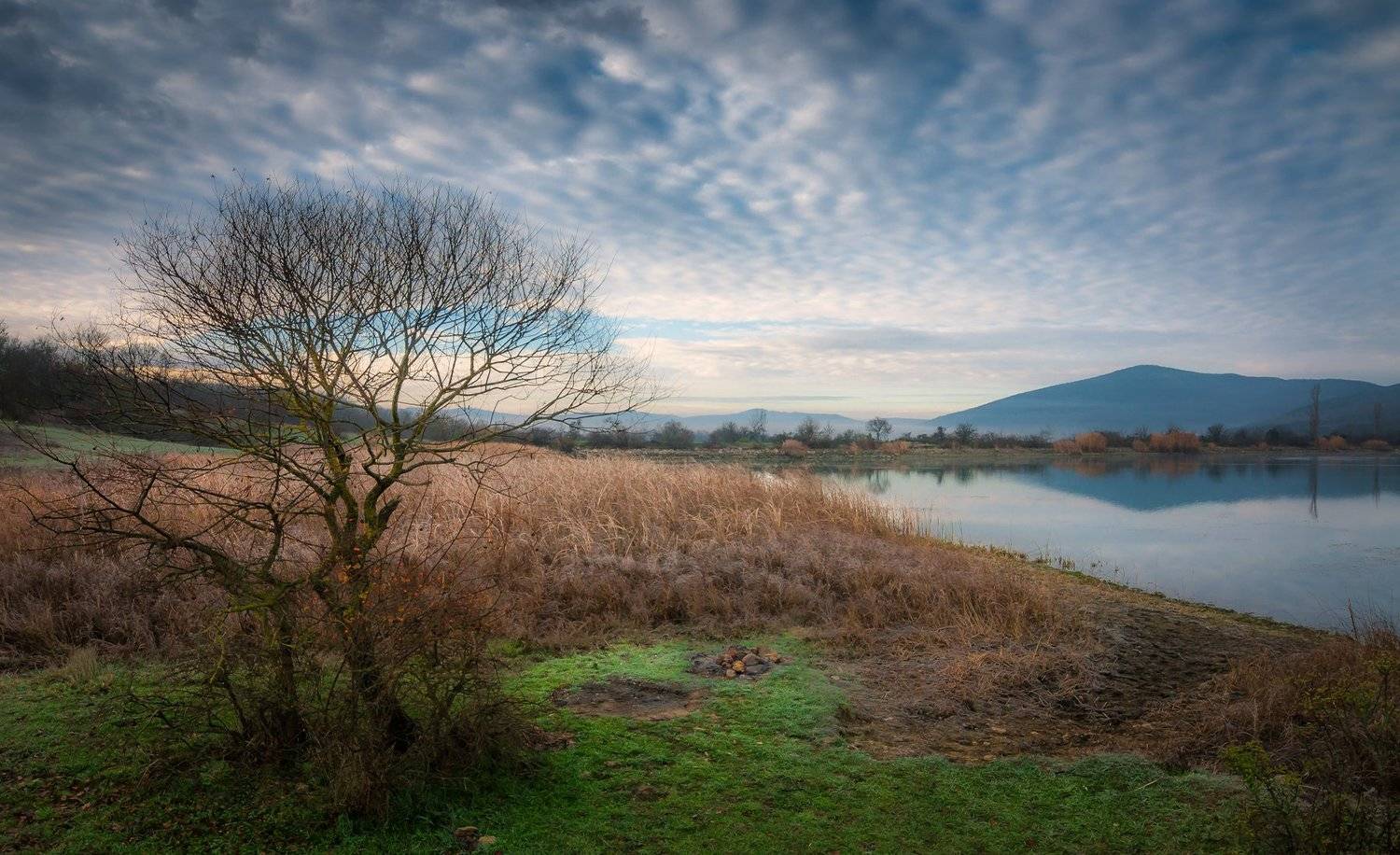 Для тех, кто рано встаёт.... Автор: Владимир Яковлев , Владимир Яковлев