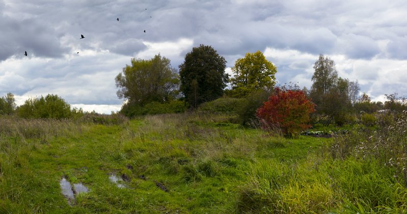 Конец сентября. Поблизости от Ростоваphoto preview