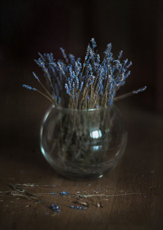 Лавандаphoto preview