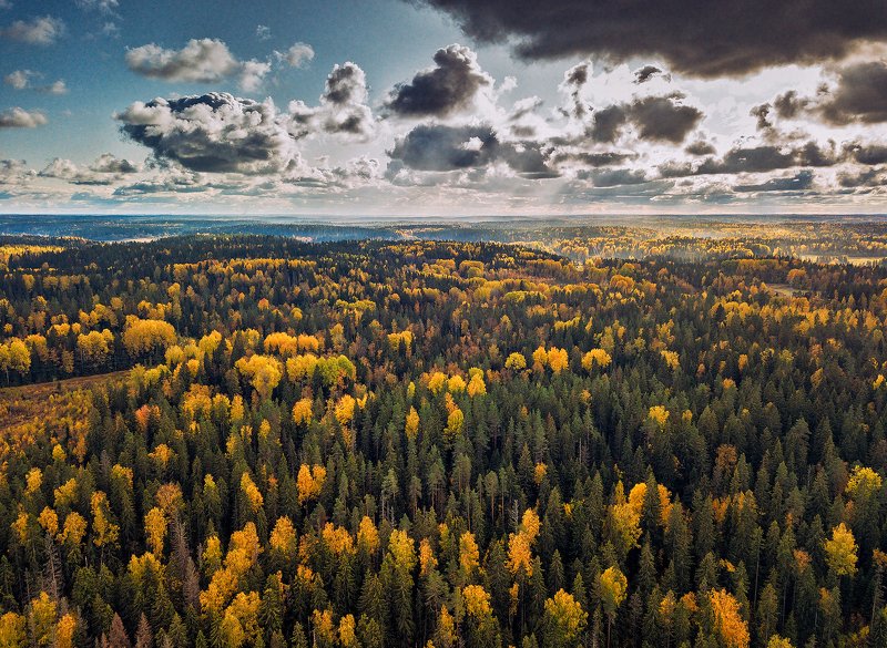 Октябрь во всей красе.photo preview