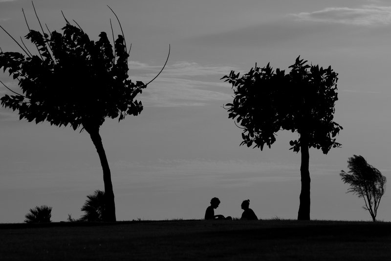 silhouettes ...#19photo preview