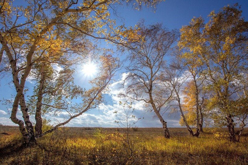 южный, урал, долгие горы, орск, новотроицк башкирия талкас Осенняя Акварельphoto preview