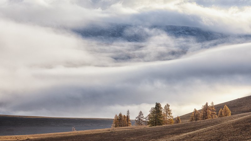 алтай, утро, туман Алтайское утроphoto preview