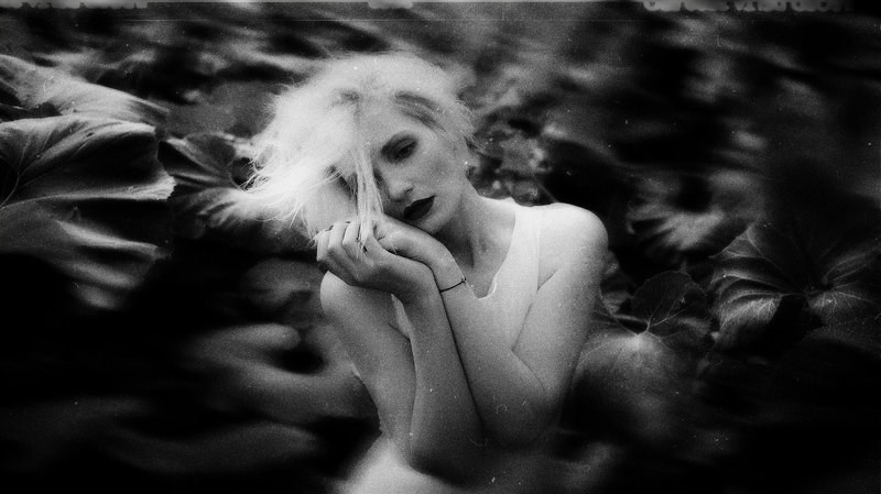 портрет Чёрно-белые сныphoto preview