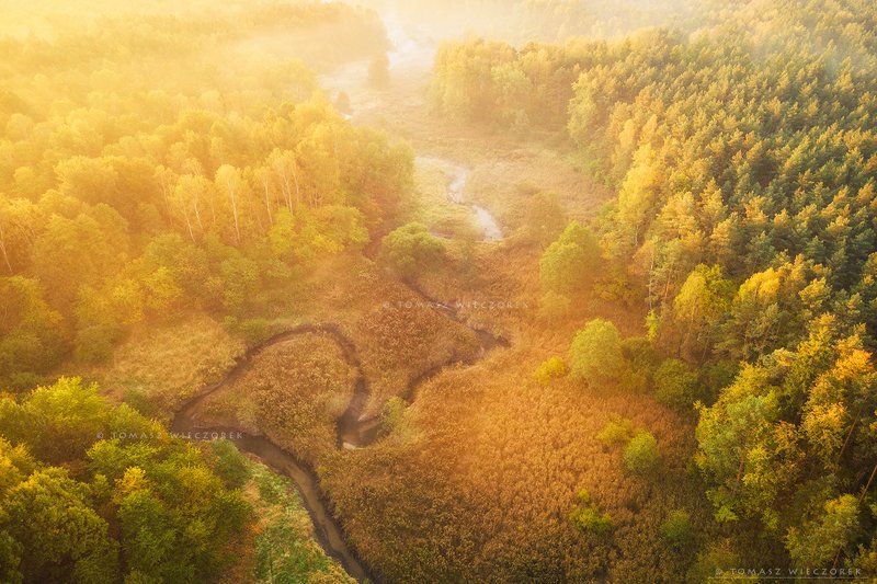forest, drone, dji, air, poland, polish, landscape, sunrise, sunset, colours, autumn, awesome, amazing, adventure, travel, beautiful, morning, river, valley Autumn sunrisephoto preview