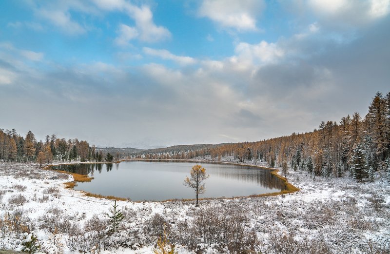 Киделюphoto preview