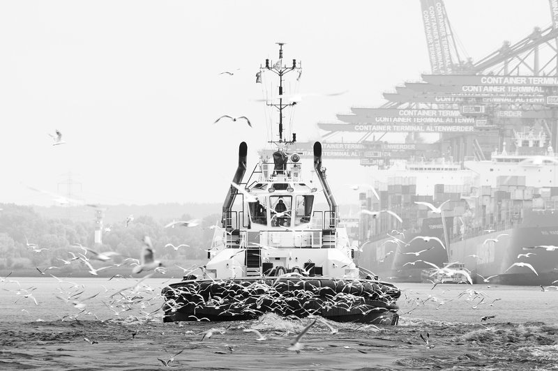 water, elbe, river, hamburg, germany, schlepper, ships, bugsier Schlepperphoto preview