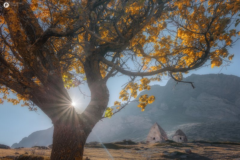 элтюбю Оберегающие вечностьphoto preview