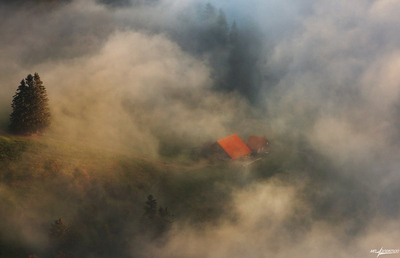 swiss,швейцария,осень,rigi А мы ночуем в облаке...photo preview