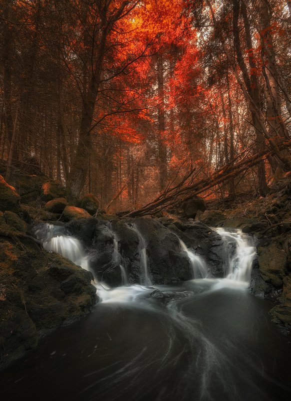 Fire and Waterphoto preview