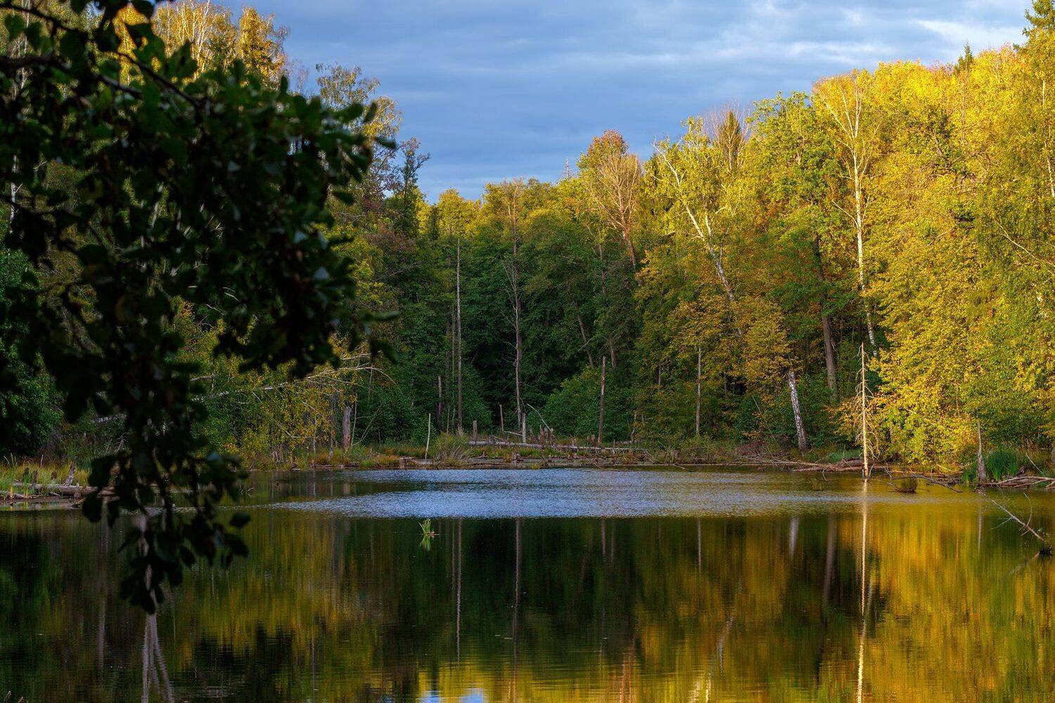 Золотая осень. Автор: Сергей Сергеев пейзаж, озеро, Сергей Сергеев