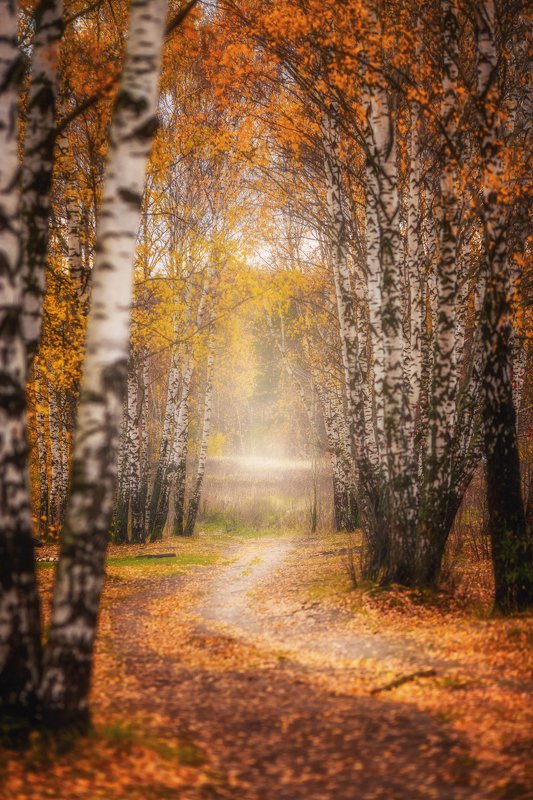 Гребневоphoto preview