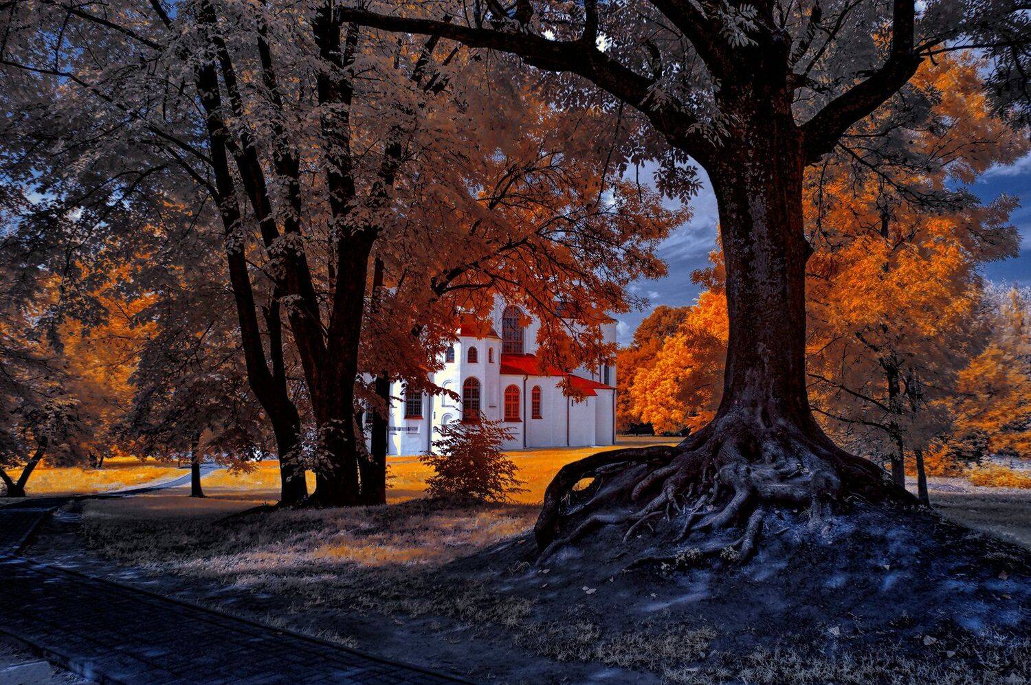 infrared,ик-фото,инфракрасное фото, инфракрасная фотография, пейзаж, лето, Sixten ( Сергей )