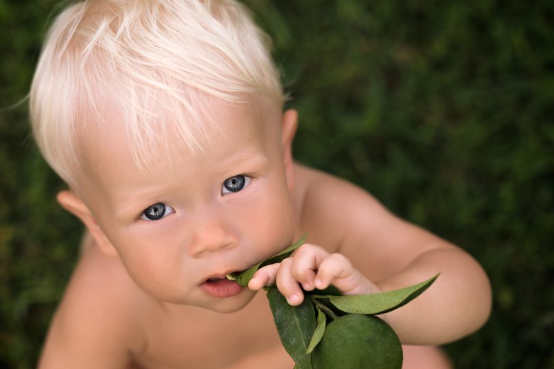 новорожденный, новорожденные, ребенок, детский портрет, ребенок, дети looking at fatherphoto preview