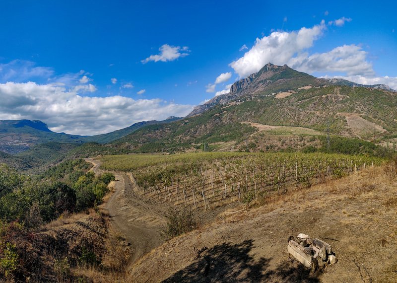 Крым, виноградники, алушта, горы Крымские виноградники фото превью