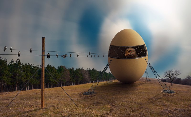 ceclii, nikon d3400, conceptual photo preview