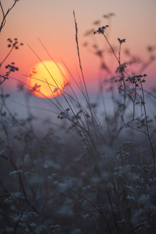 #природакрыма #степнойкрым Серия photo preview