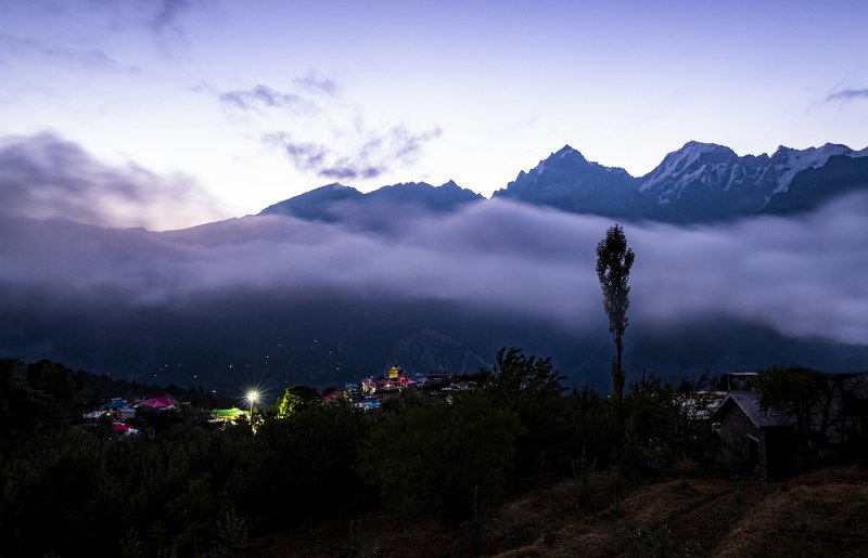 Standing Tallphoto preview