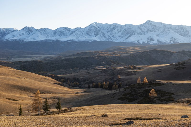 У подножия Северо-Чуйскогоphoto preview