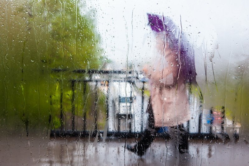 дождь троллейбус Дождливый маршрут троллейбуса №4photo preview