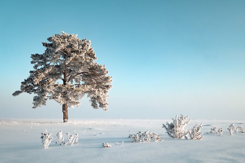 зима, пейзаж, fujifilm. Минимализм...photo preview