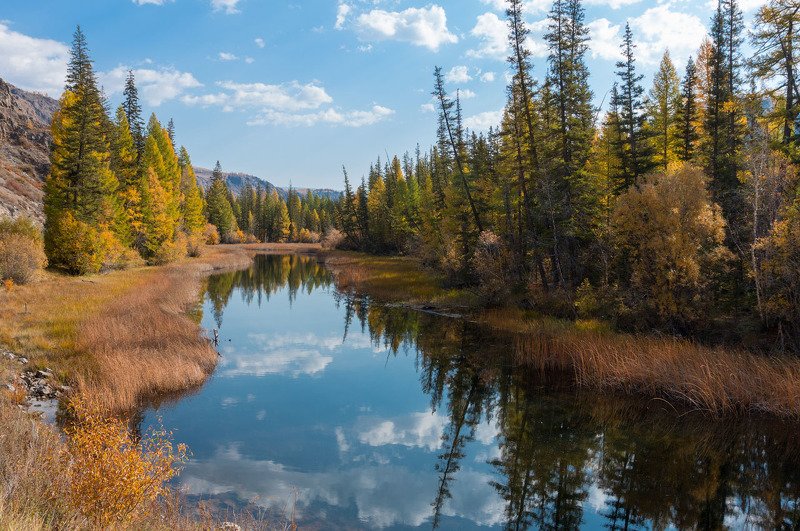 Тихие заводи фото превью