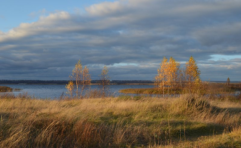 небо, ветер, простор, облака, солнечный свет, берег, травы, осень Ветреный день фото превью