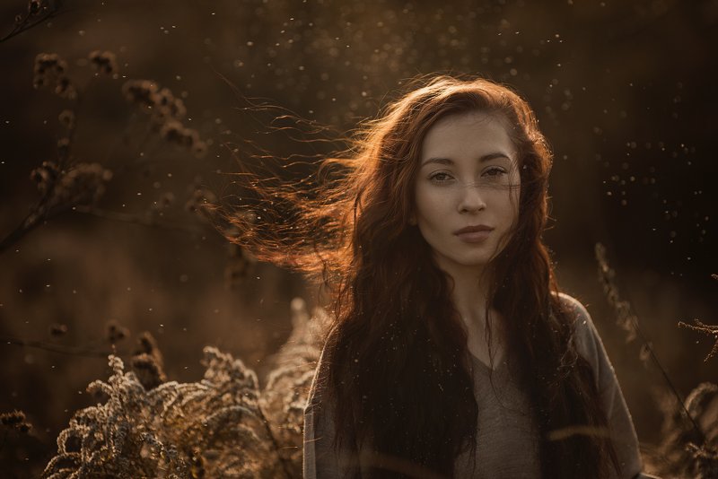 Warm autumnphoto preview