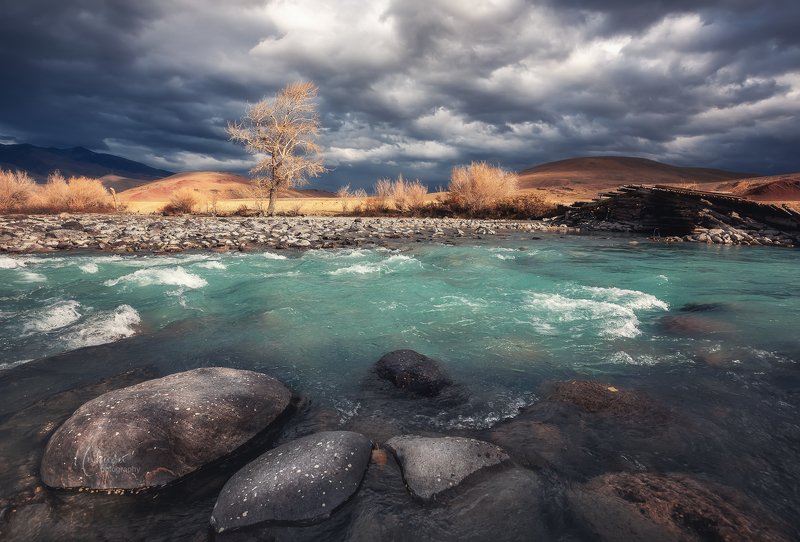 Алтай, Кызыл-Чин.photo preview