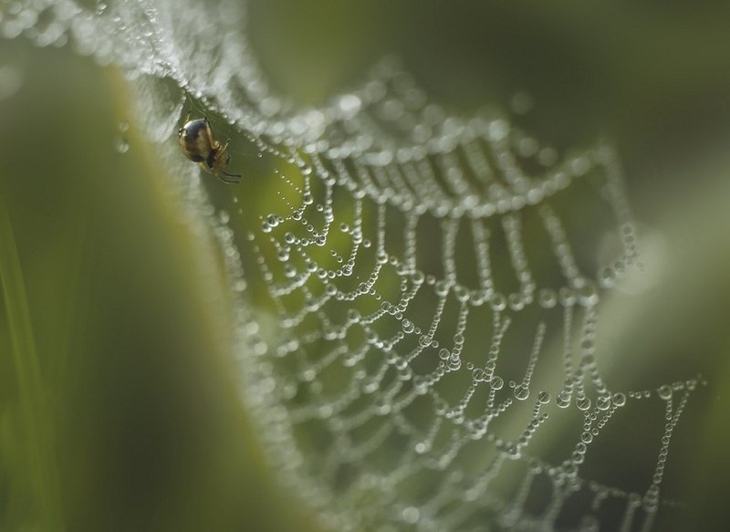 За работойphoto preview