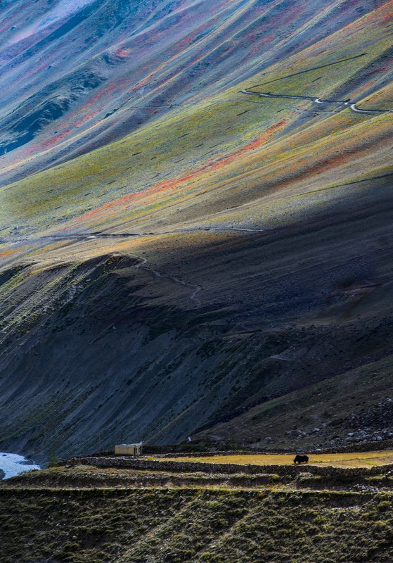 Much Villagephoto preview