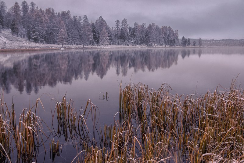 киделю, алтай оз. Киделюphoto preview