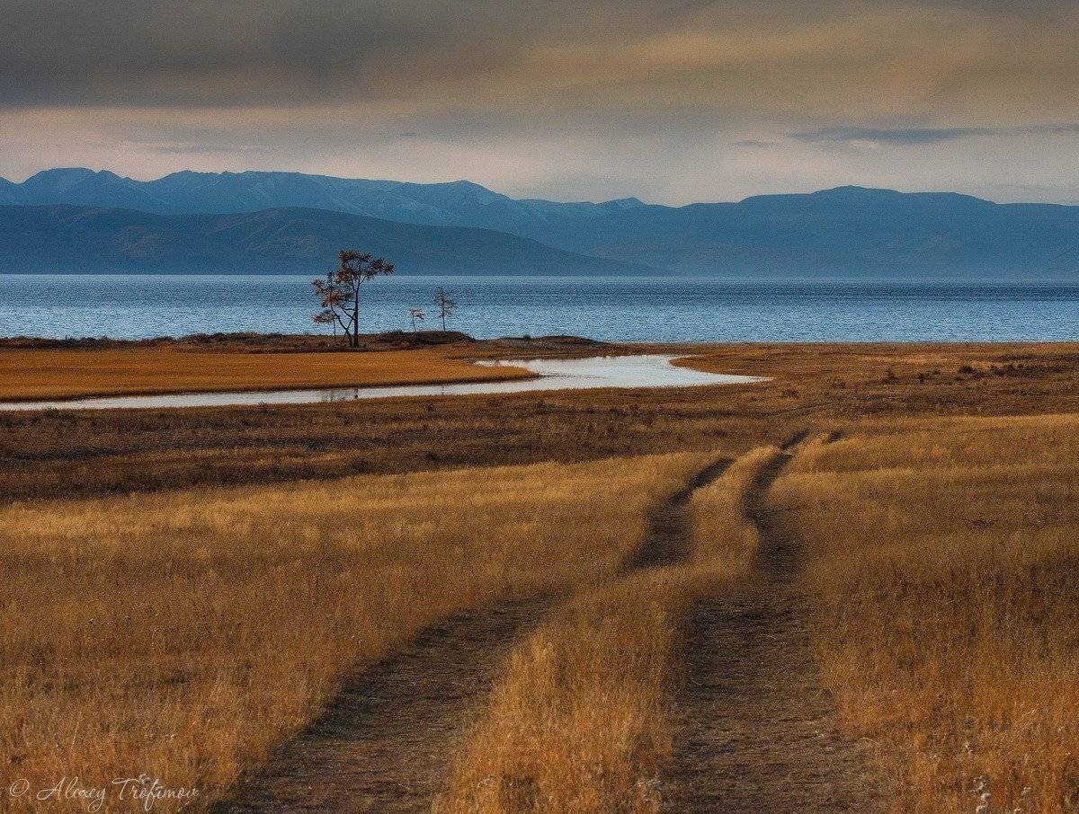 Там, где кончается дорога.... Автор: Алексей Трофимов монголия, хубсугул, пейзаж, осень, дорога, Алексей Трофимов