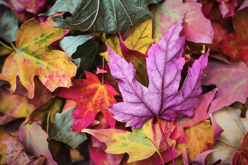 южный, урал, долгие горы, орск, новотроицк башкирия талкас Осень!photo preview