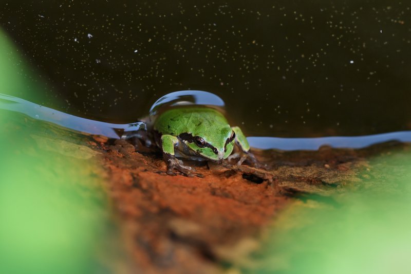 Марсианка..photo preview