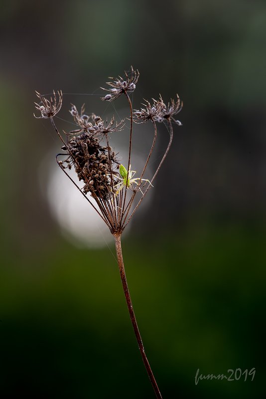 АЖУРНАЯ БРОШЬ С ИЗУМРУДОМphoto preview