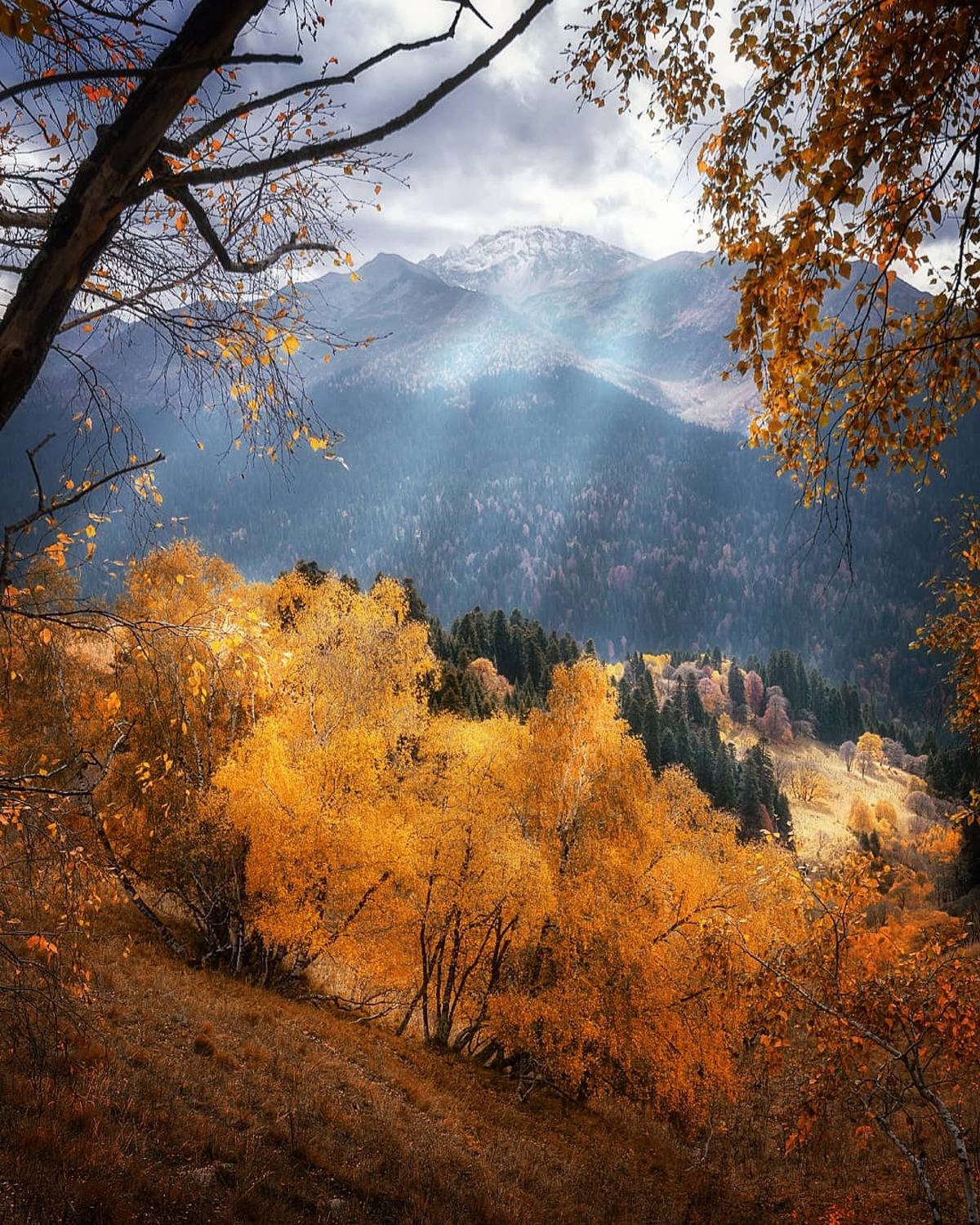 , Сергей Лукашенко