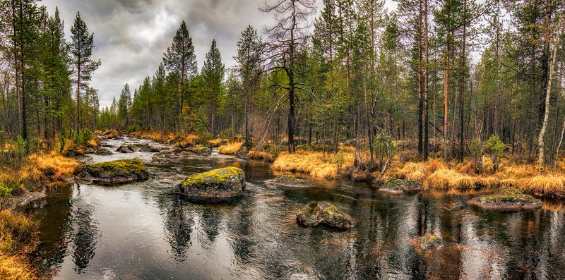 Октябрьphoto preview