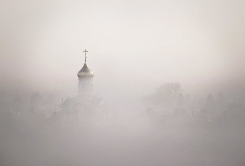 в беломphoto preview