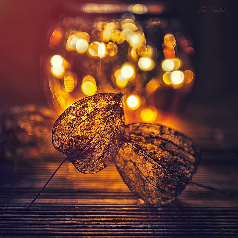 осень...photo preview