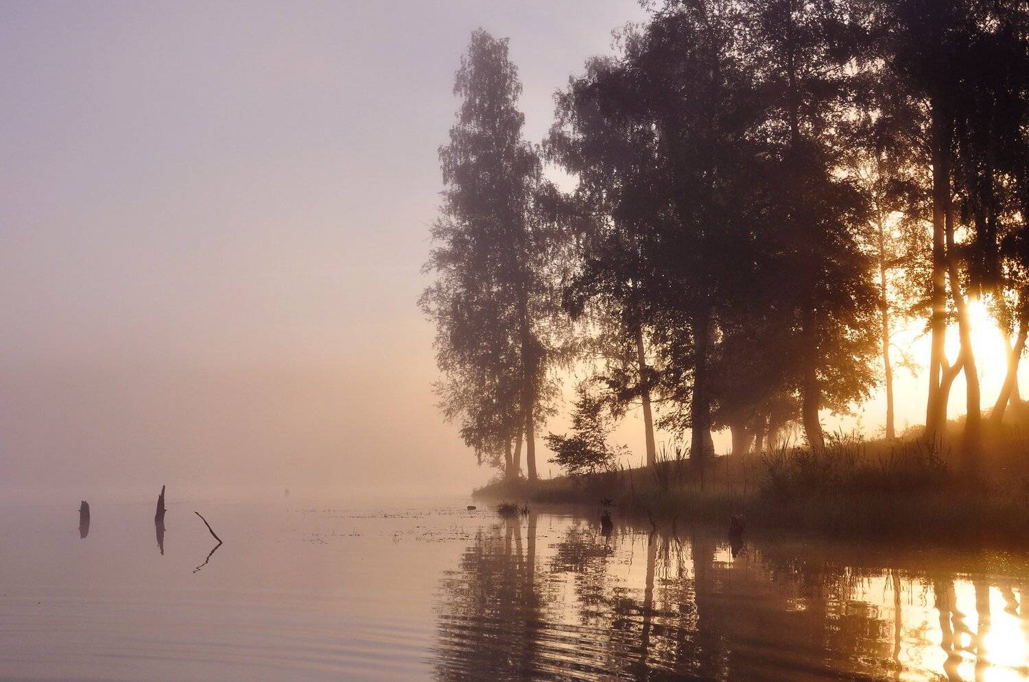 .... Автор: Макеев Алексей , Макеев Алексей