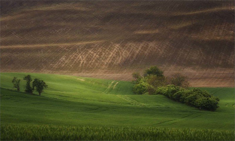 Моравская тональностьphoto preview