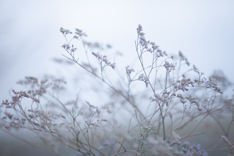 #степнойкрым #природакрыма Серия \