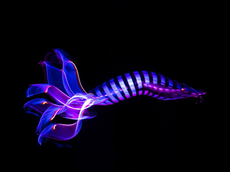 lightpainting, lightart, longexposure, nightphotography, light, night, lightblade The deeper you go, the steeper the fish.Чем глубже опускаешься, тем круче рыба.photo preview