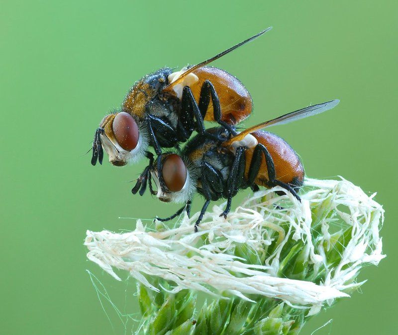 ну, поскакали!photo preview