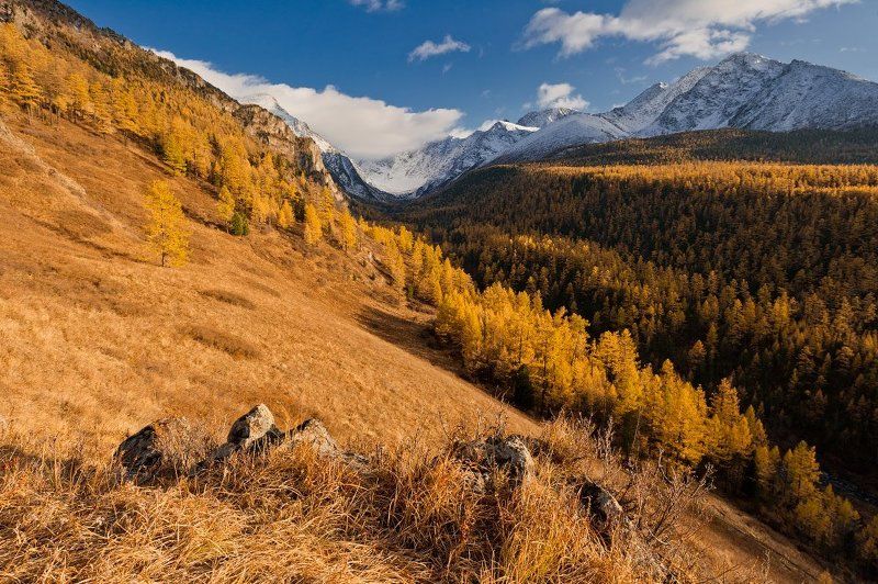 алтай, куйгук, долина, осень, горы Прощание с Куйгукомphoto preview