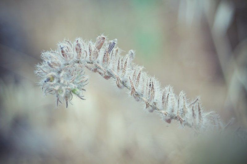 Пробуждение.photo preview
