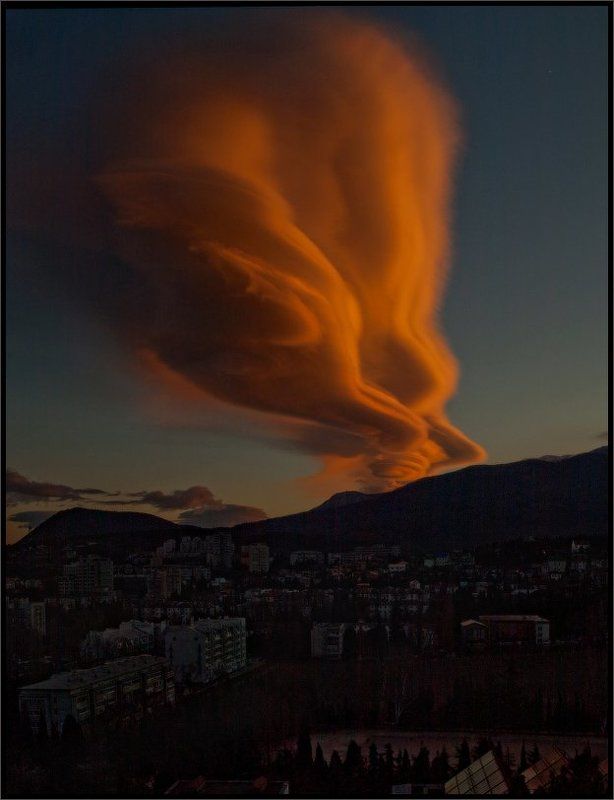 Кто выпустил джина из бутылки?photo preview